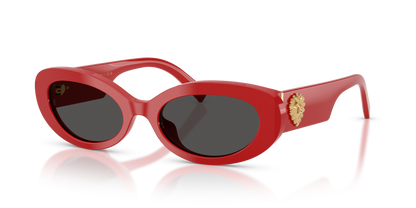 DOLCE &amp; GABBANA DG4537 308887 53