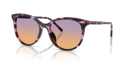 DOLCE &amp; GABBANA DG4540 3477EL 55