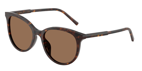 DOLCE & GABBANA DG4540 502/13 55