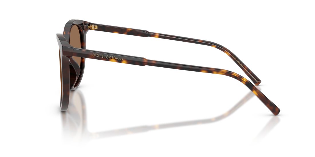 Sonnenbrillen dolce & gabbana dg4540 502/13 havana pantos femenino größe 55mm - Detailansicht