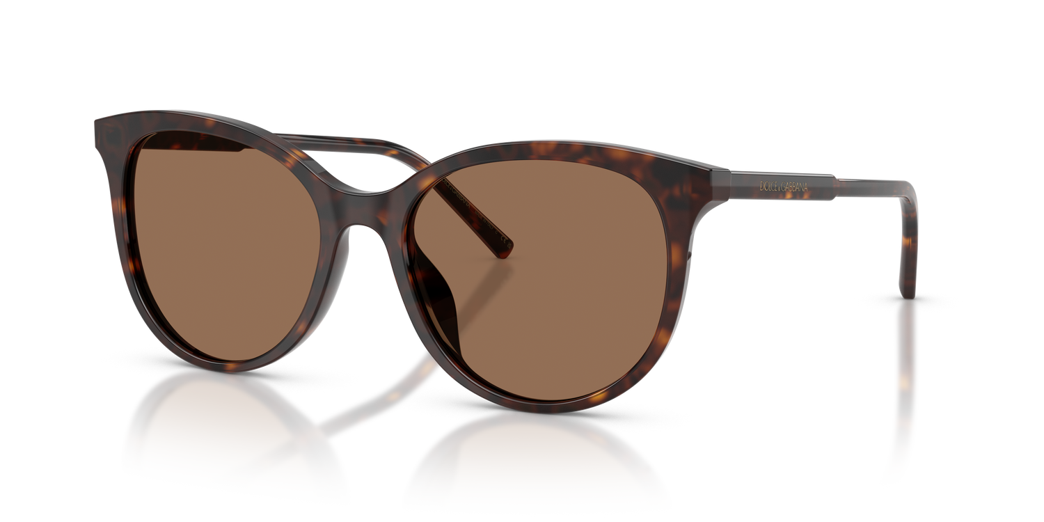 DOLCE &amp; GABBANA DG4540 502/13 55