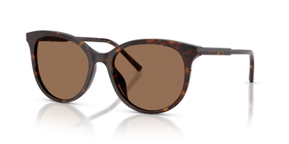 DOLCE &amp; GABBANA DG4540 502/13 55