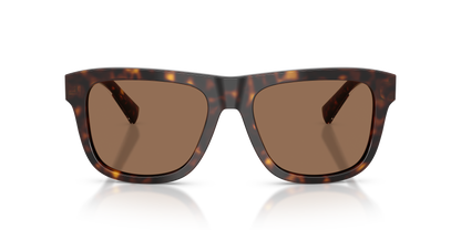DOLCE &amp; GABBANA DG4545 502/73 55