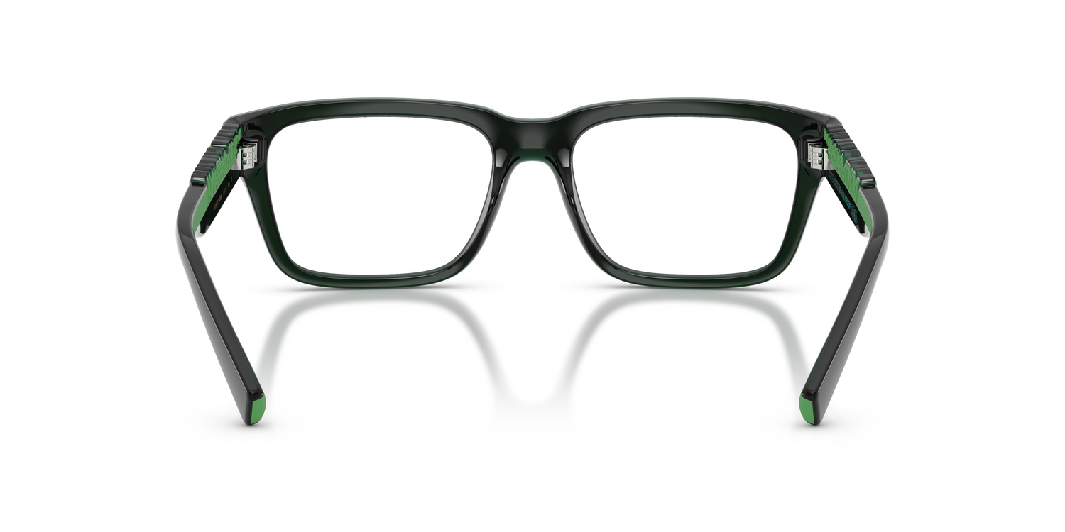 DOLCE &amp; GABBANA DG5112 3008 53