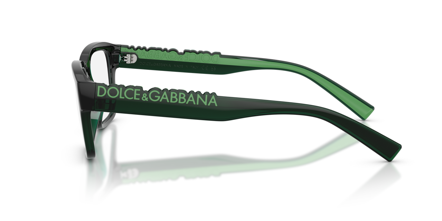 DOLCE &amp; GABBANA DG5112 3008 55