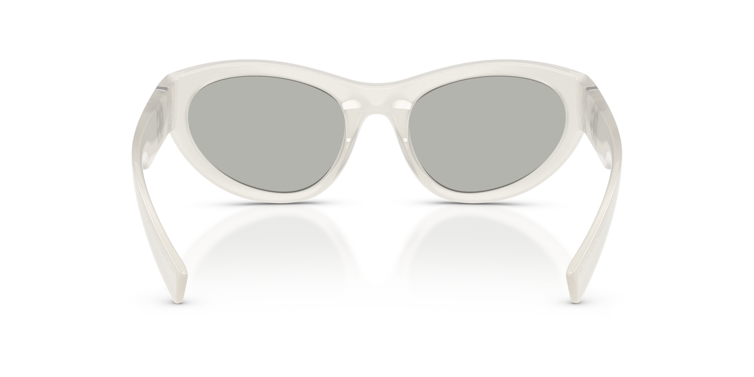 DOLCE &amp; GABBANA DG6207 30398V 54
