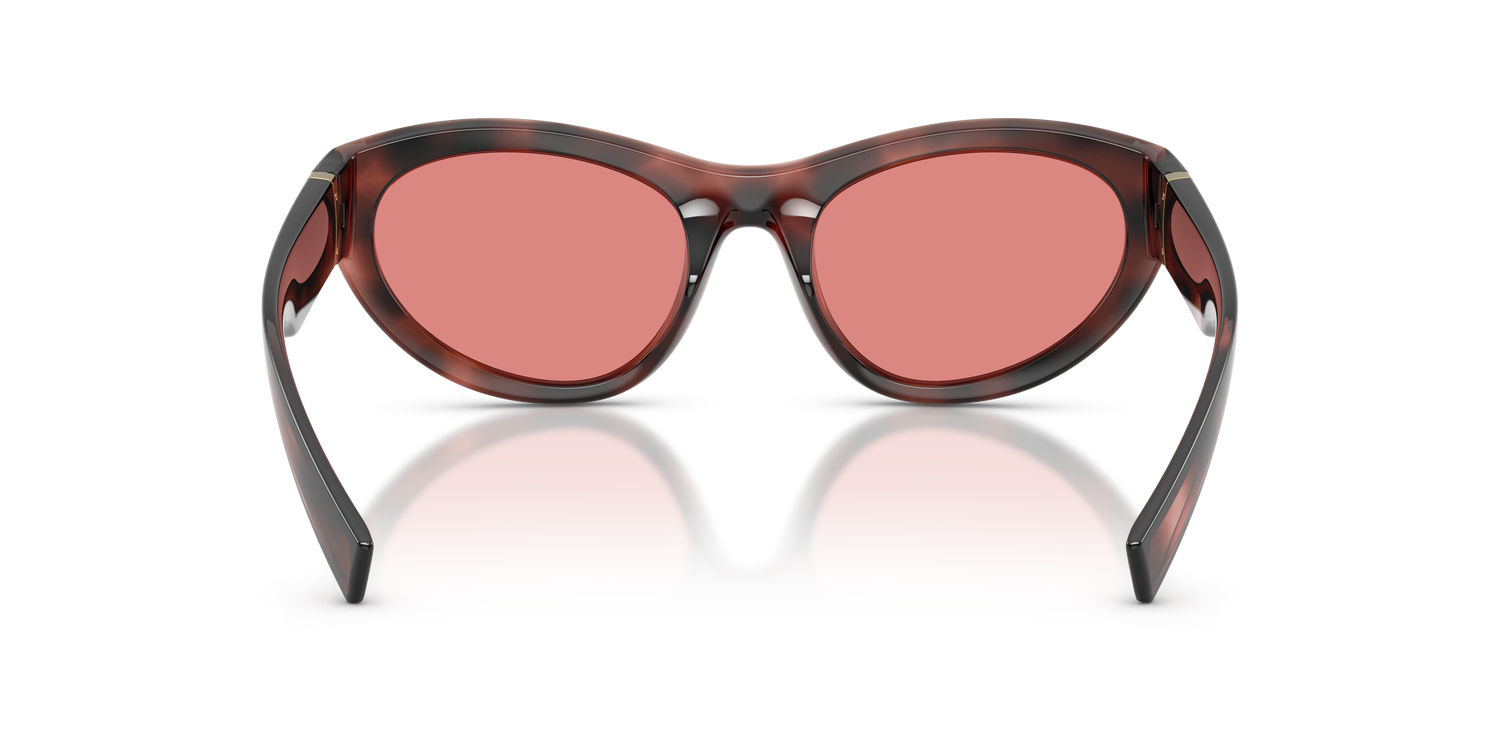 DOLCE &amp; GABBANA DG6207 347684 54