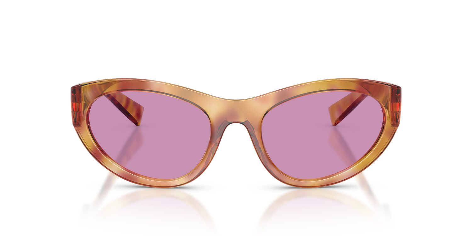 DOLCE &amp; GABBANA DG6207 34771A 54