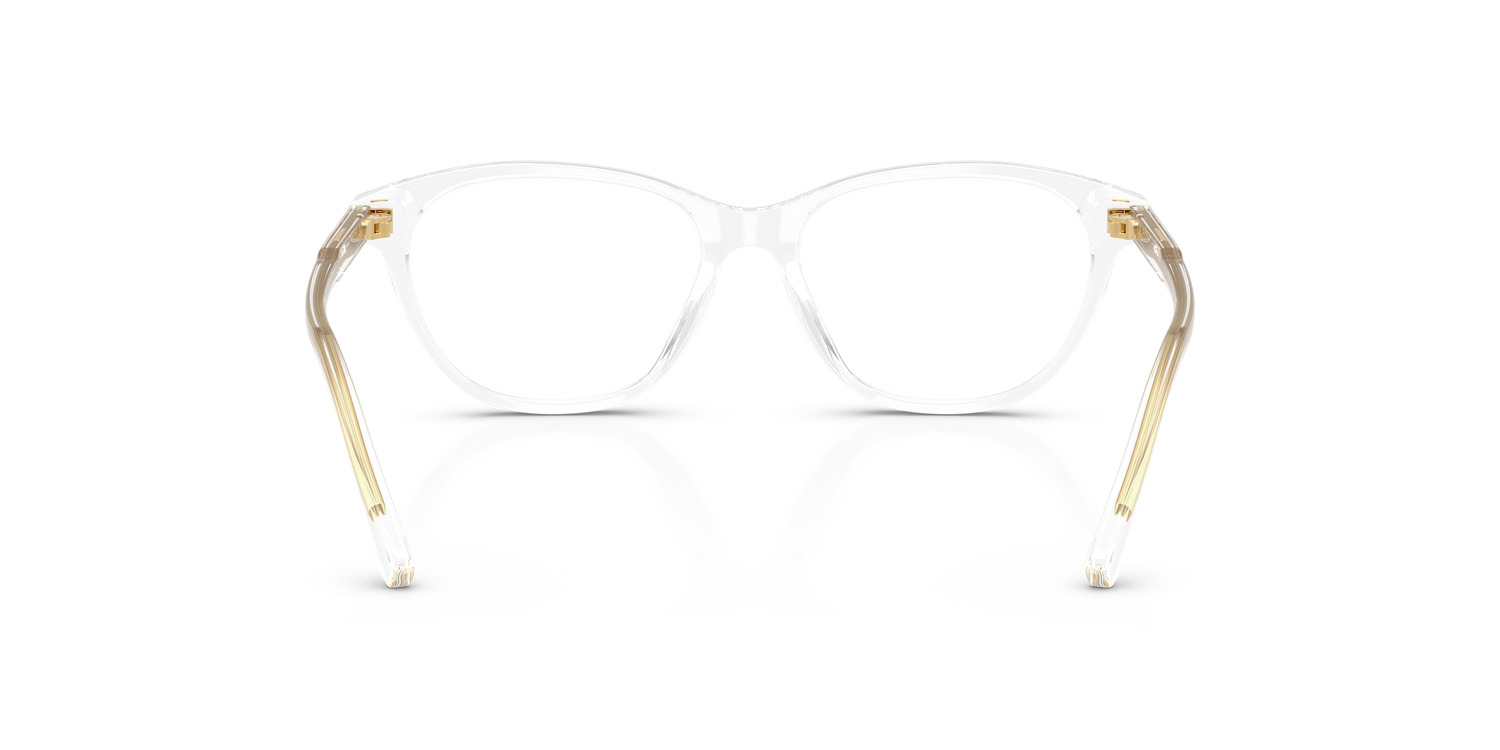 DOLCE &amp; GABBANA DX3002 3133 48