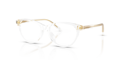 DOLCE &amp; GABBANA DX3002 3133 48