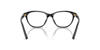 DOLCE &amp; GABBANA DX3002 501 48