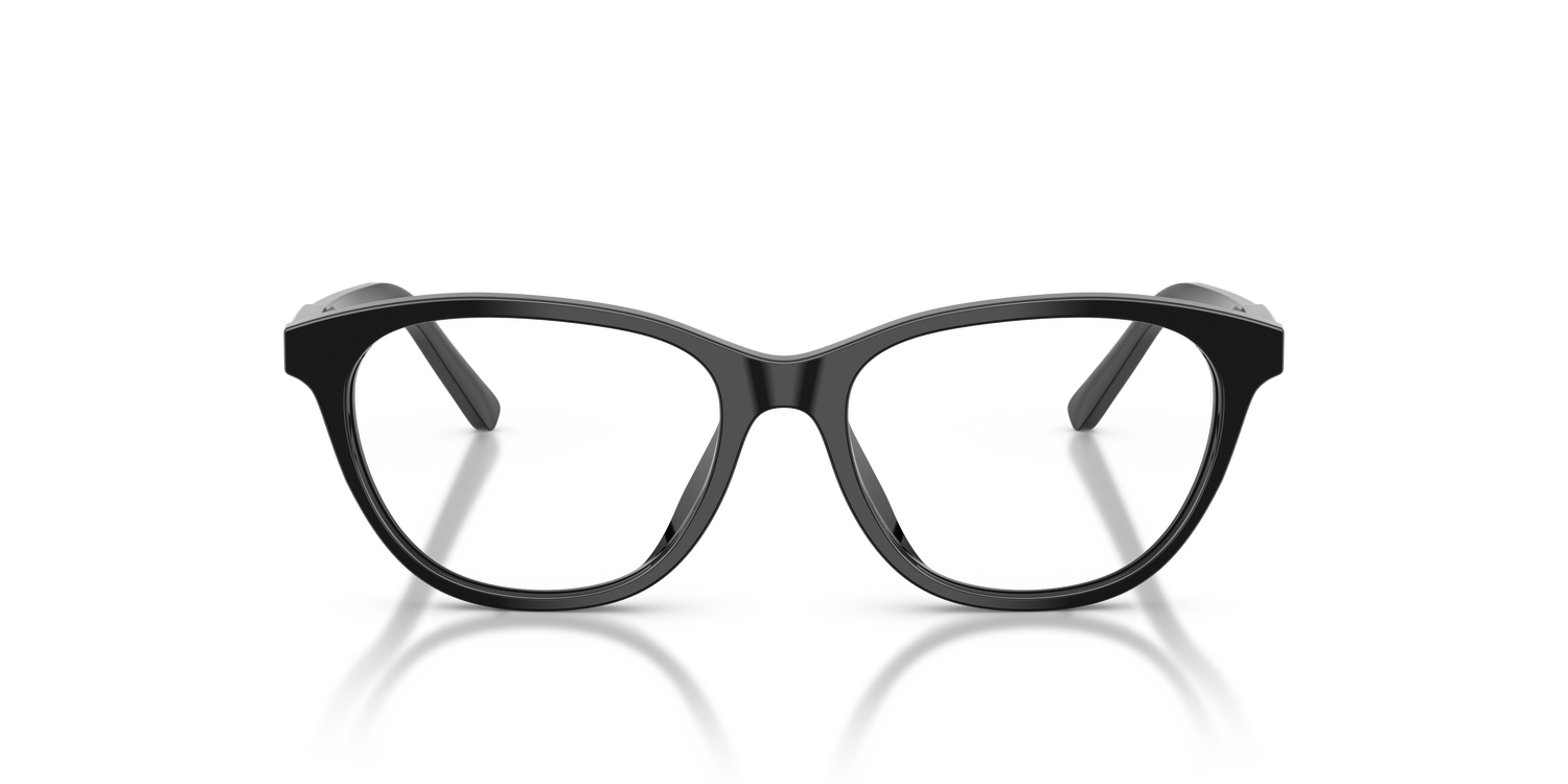 DOLCE &amp; GABBANA DX3002 501 48