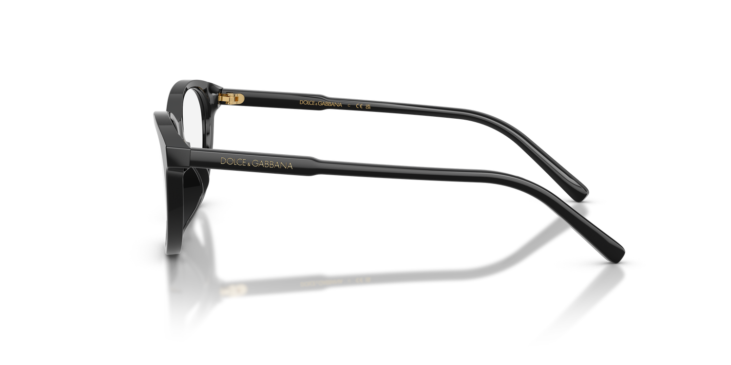 DOLCE &amp; GABBANA DX3002 501 48