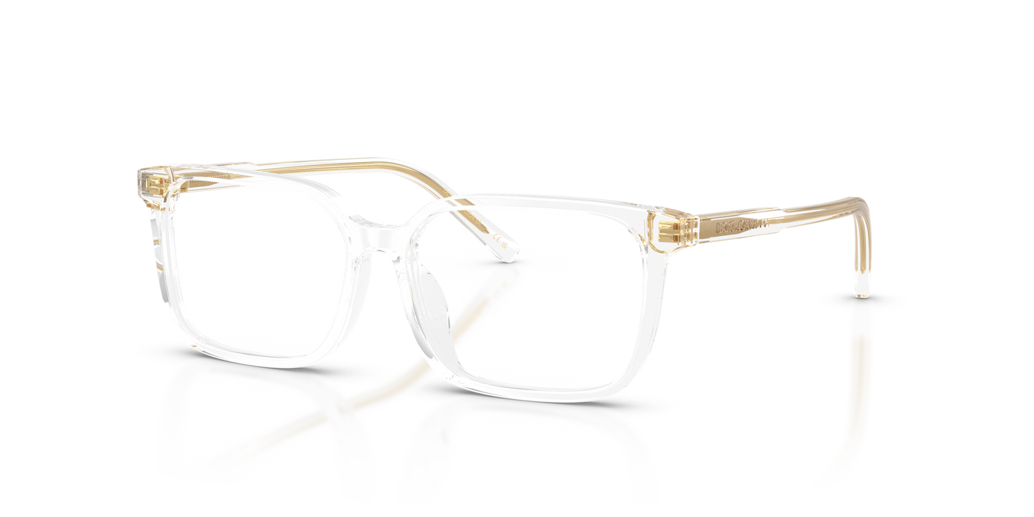 DOLCE &amp; GABBANA DX3003 3133 51