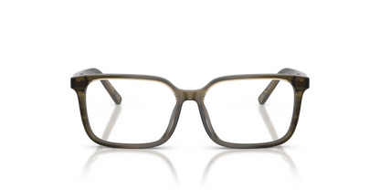 DOLCE &amp; GABBANA DX3003 3480 51