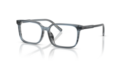 DOLCE &amp; GABBANA DX3003 3482 51