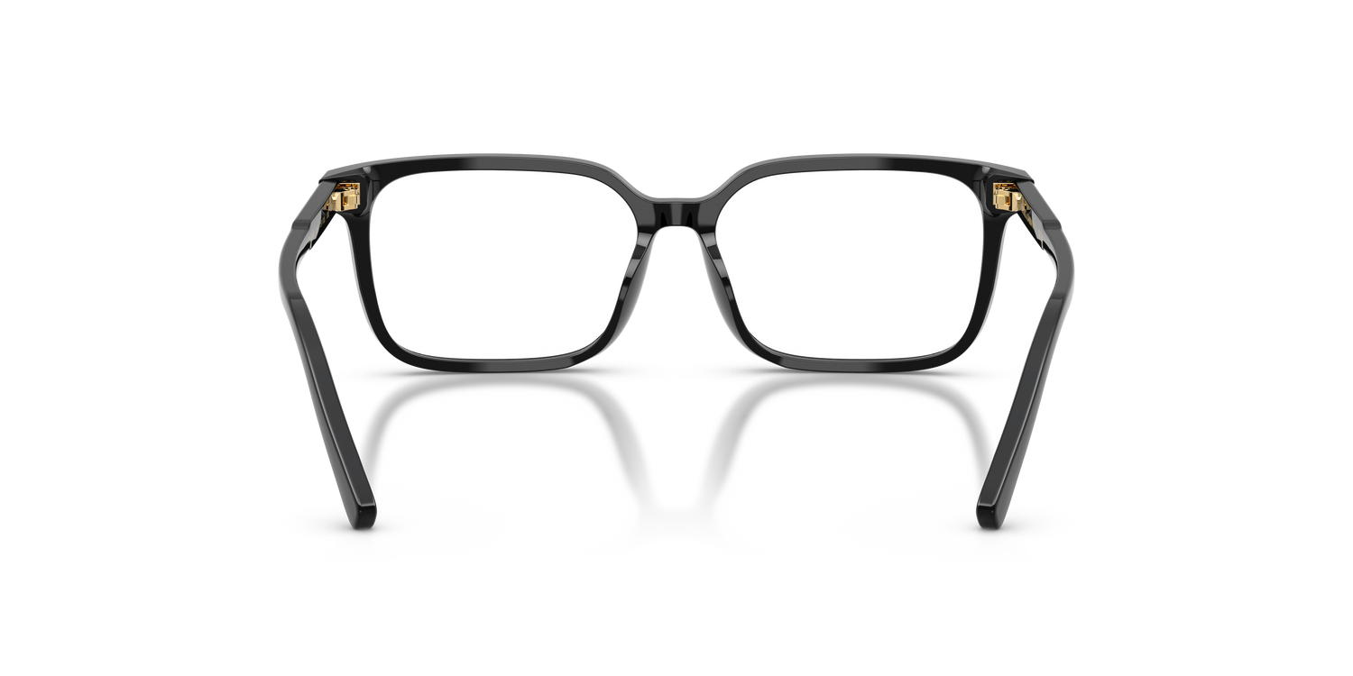 DOLCE &amp; GABBANA DX3003 501 51