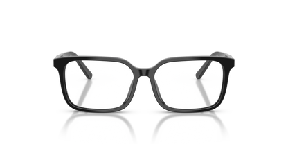 DOLCE &amp; GABBANA DX3003 501 51