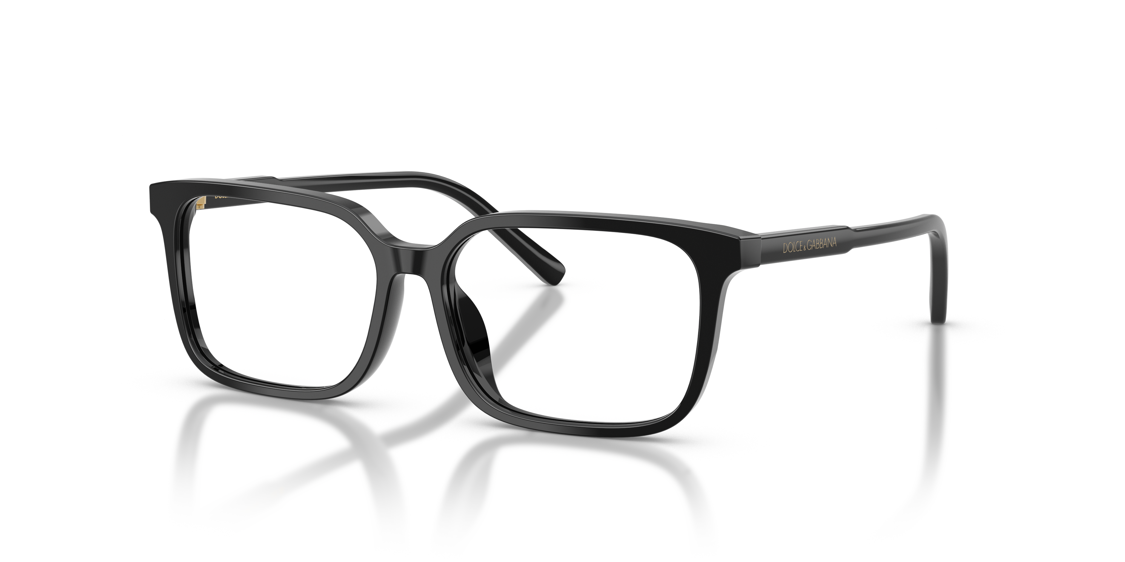 DOLCE &amp; GABBANA DX3003 501 51