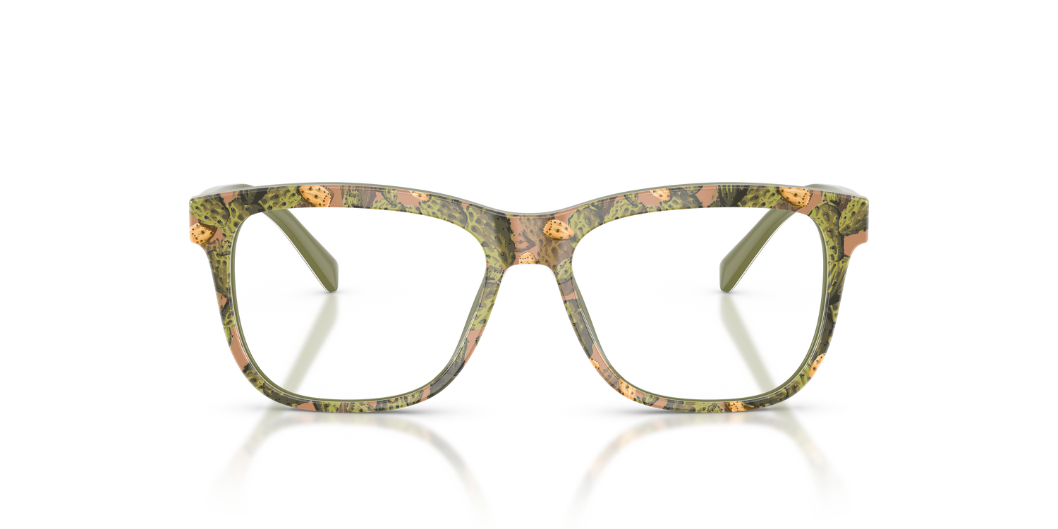 DOLCE &amp; GABBANA DX3356 3488 49