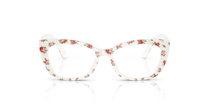 DOLCE &amp; GABBANA DX3357 3487 49