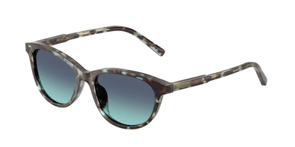 DOLCE &amp; GABBANA DX4010 34434S 48