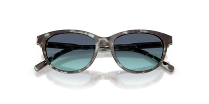 DOLCE &amp; GABBANA DX4010 34434S 48