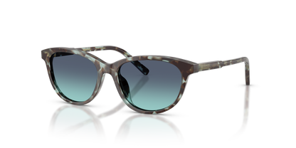 DOLCE &amp; GABBANA DX4010 34434S 48