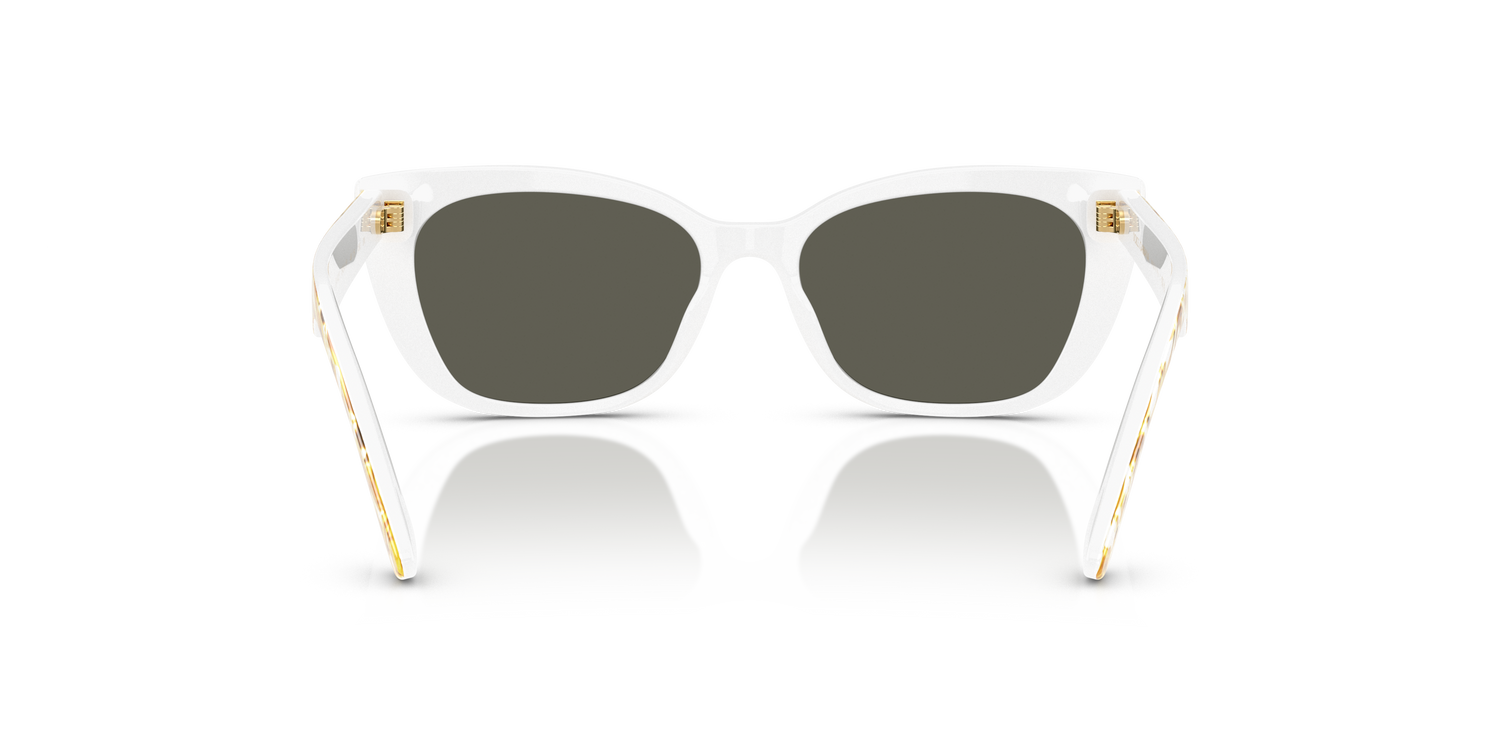 DOLCE &amp; GABBANA DX4427 34347P 49