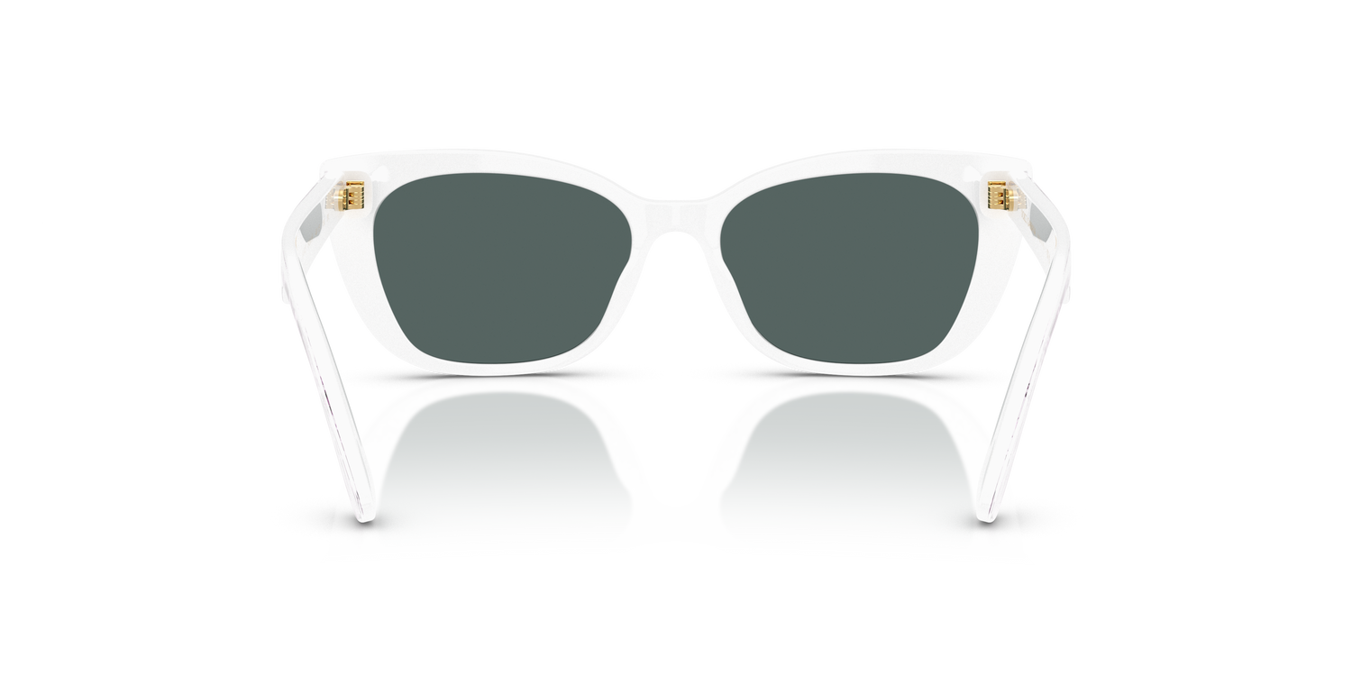 DOLCE &amp; GABBANA DX4427 34595R 49