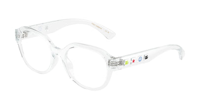 DOLCE &amp; GABBANA DX5004U 3133 48