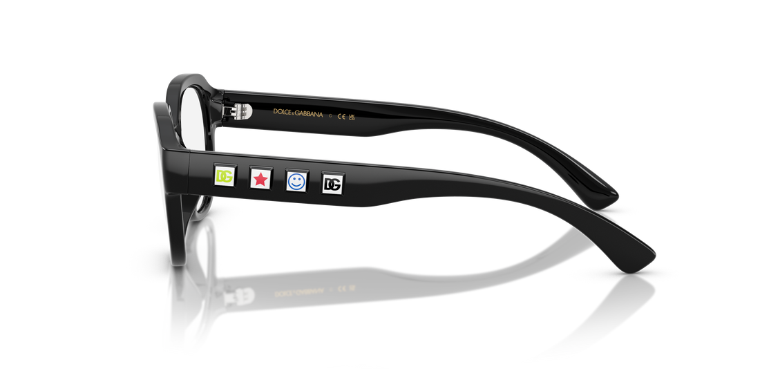 DOLCE &amp; GABBANA DX5004U 501 48