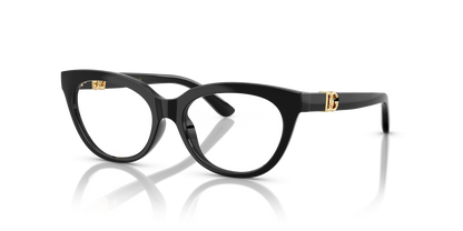 DOLCE &amp; GABBANA DX5005U 501 48