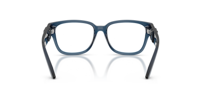 DOLCE &amp; GABBANA DX5006 3009 49