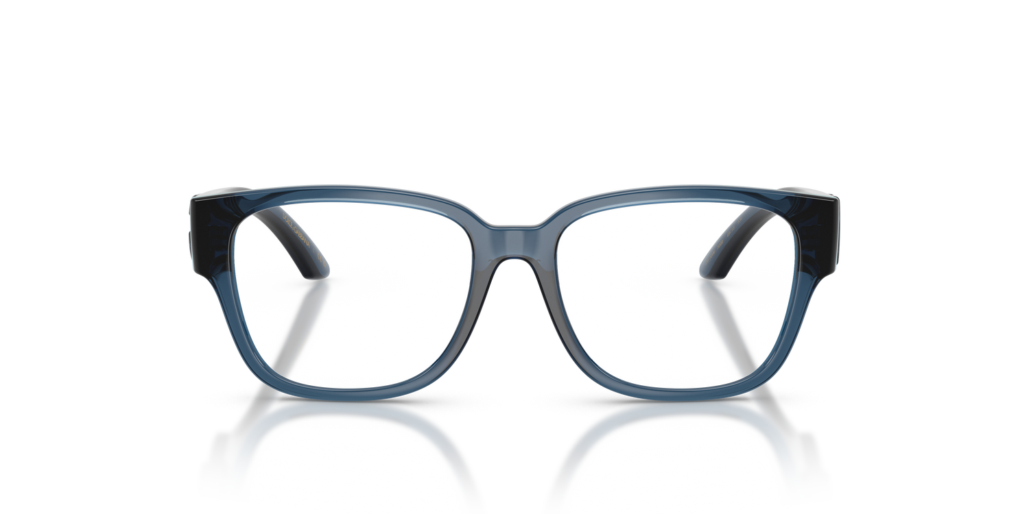 DOLCE &amp; GABBANA DX5006 3009 49