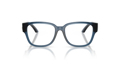 DOLCE &amp; GABBANA DX5006 3009 49