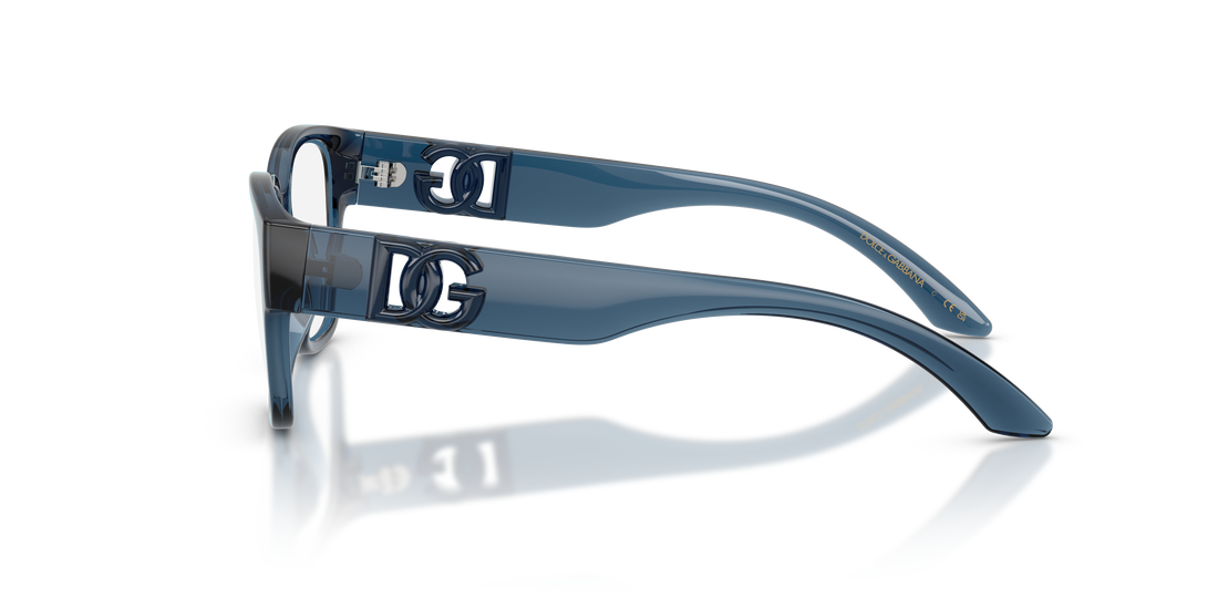 DOLCE &amp; GABBANA DX5006 3009 49