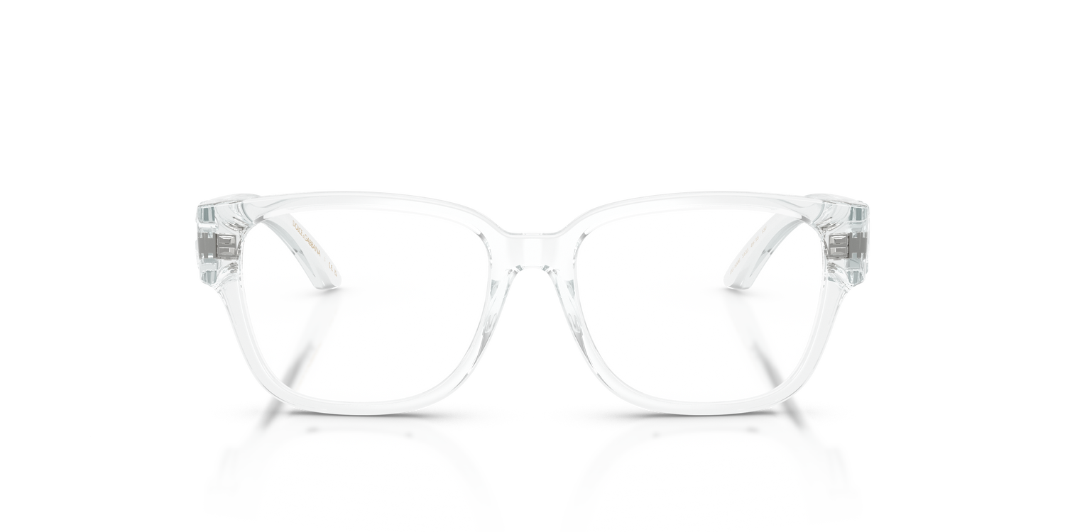 DOLCE &amp; GABBANA DX5006 3133 49