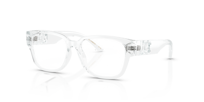 DOLCE &amp; GABBANA DX5006 3133 49