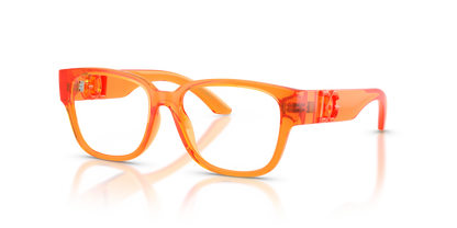 DOLCE &amp; GABBANA DX5006 3388 49