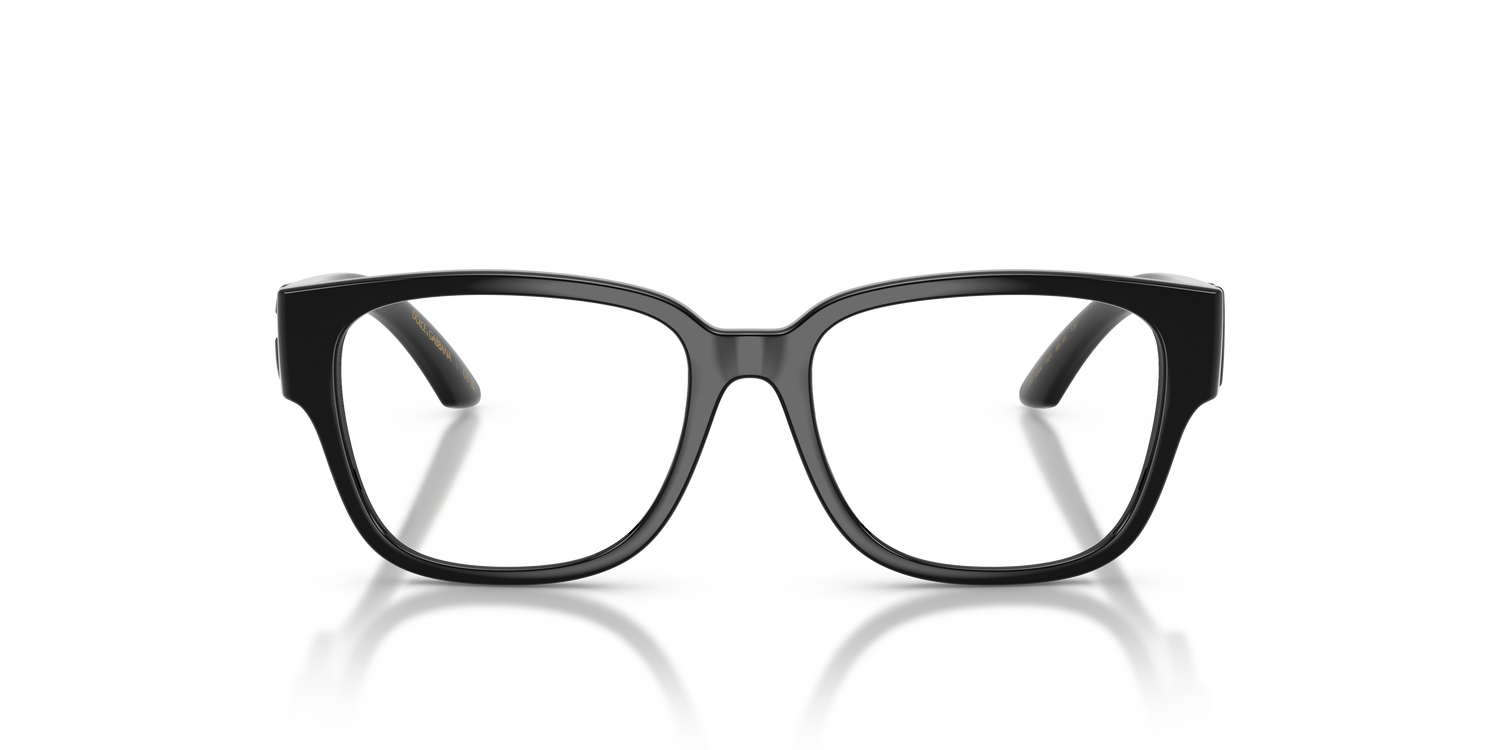 DOLCE &amp; GABBANA DX5006 501 49