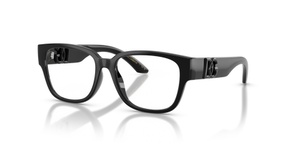 DOLCE &amp; GABBANA DX5006 501 49