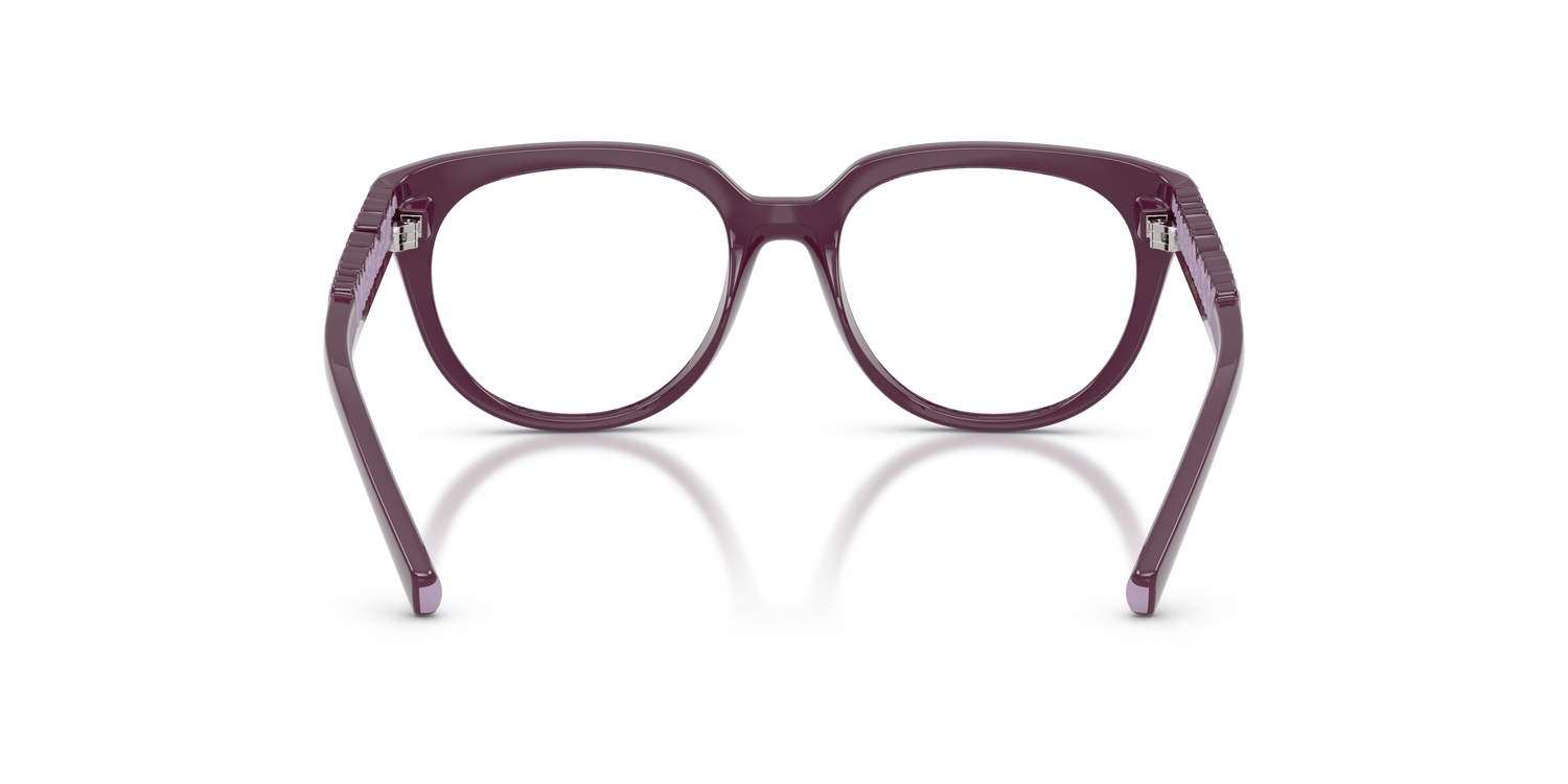 DOLCE &amp; GABBANA DX5007 3360 49