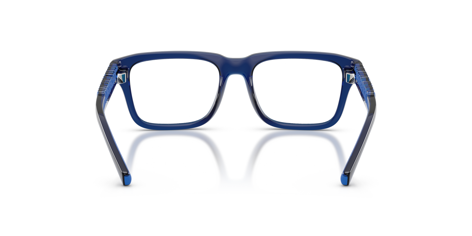 DOLCE &amp; GABBANA DX5008 3009 49