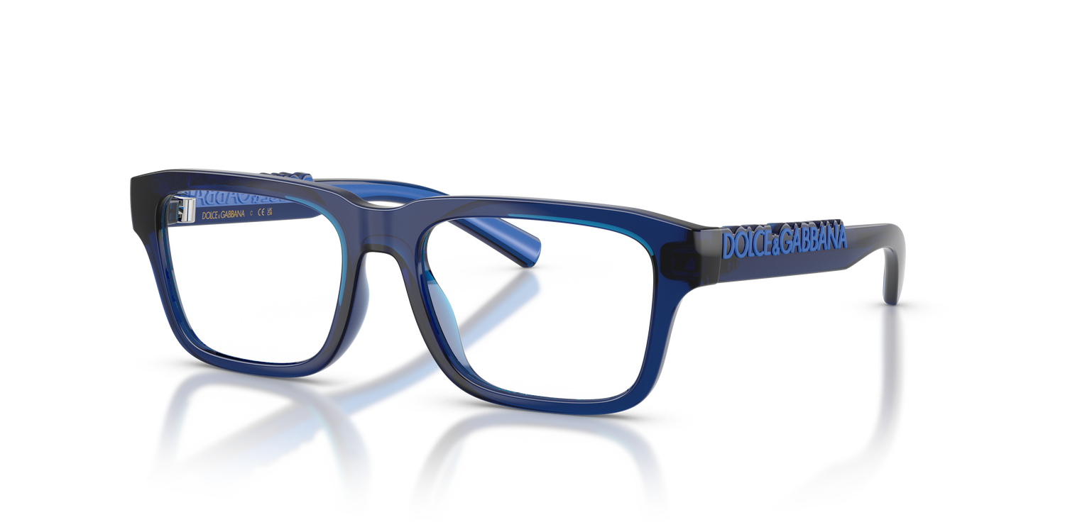 DOLCE &amp; GABBANA DX5008 3009 49