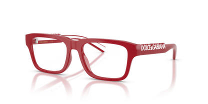 DOLCE &amp; GABBANA DX5008 3088 49