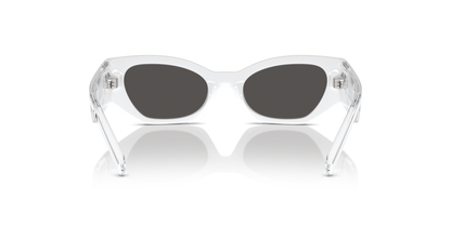 DOLCE &amp; GABBANA DX6003 331287 48