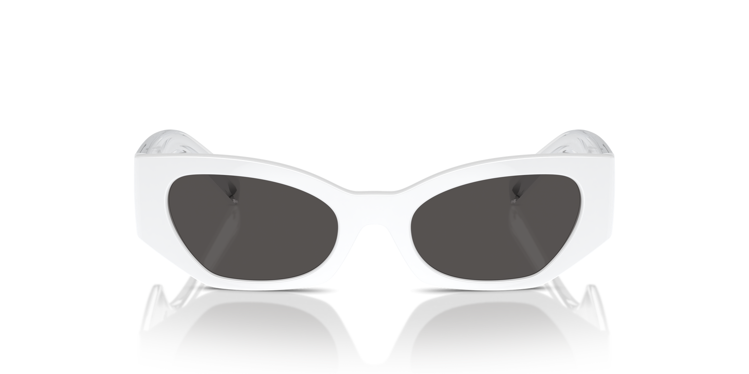 DOLCE &amp; GABBANA DX6003 331287 48