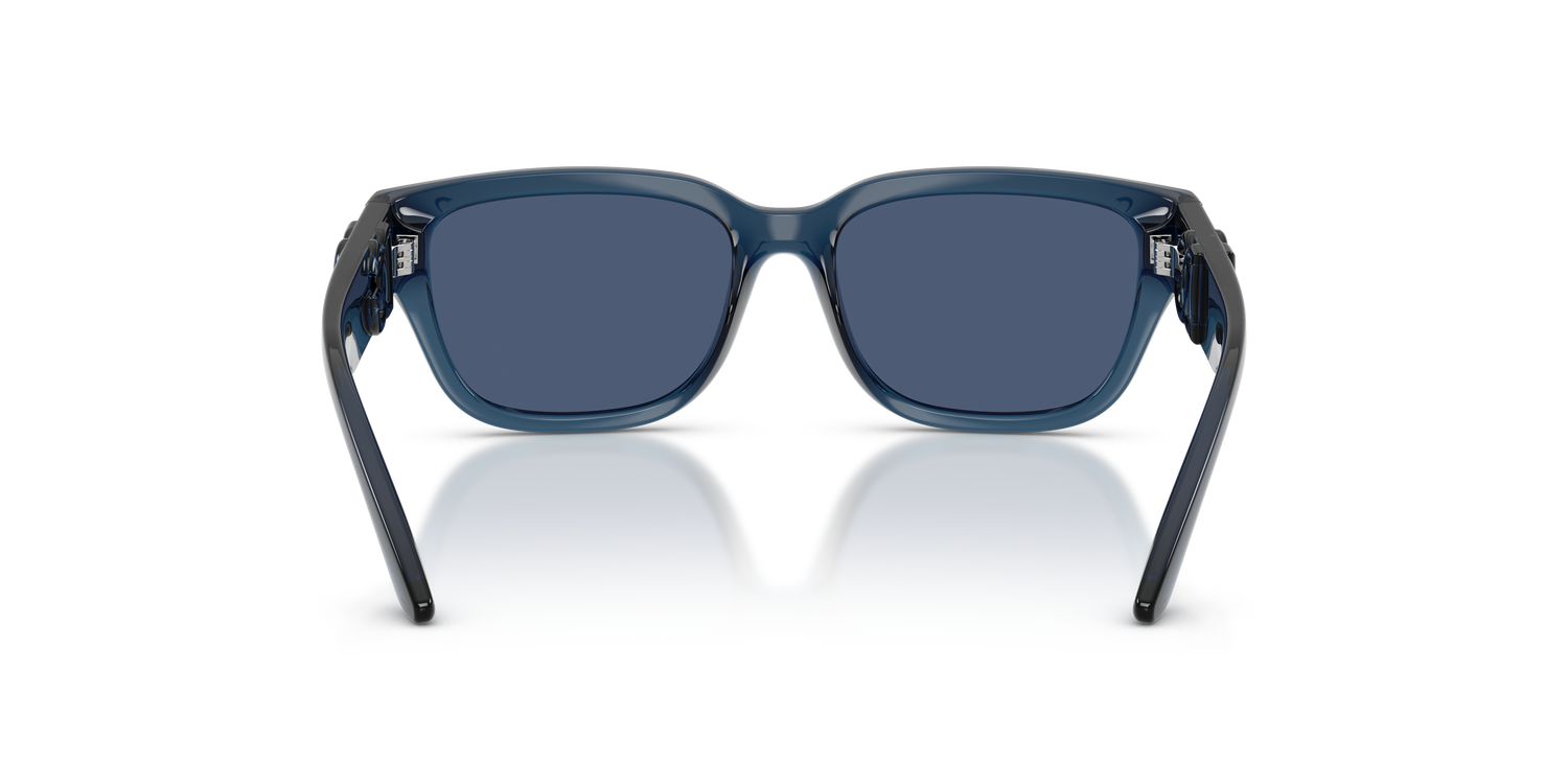 DOLCE &amp; GABBANA DX6009 300980 50