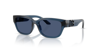 DOLCE &amp; GABBANA DX6009 300980 50